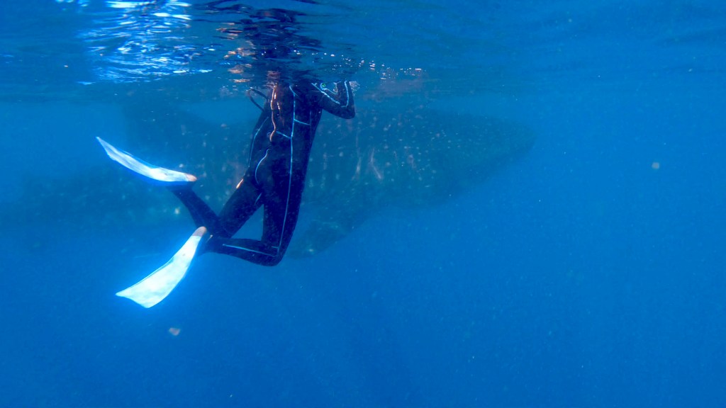 La Paz will always have la piece of my&nbsp;heart.